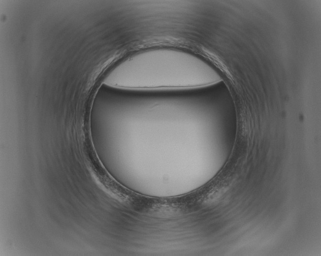 X0000072940538200607210909