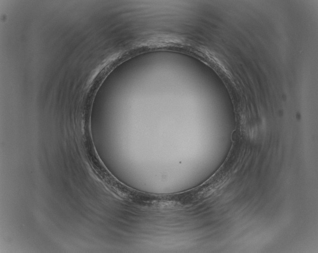 X0000072940539200607210910