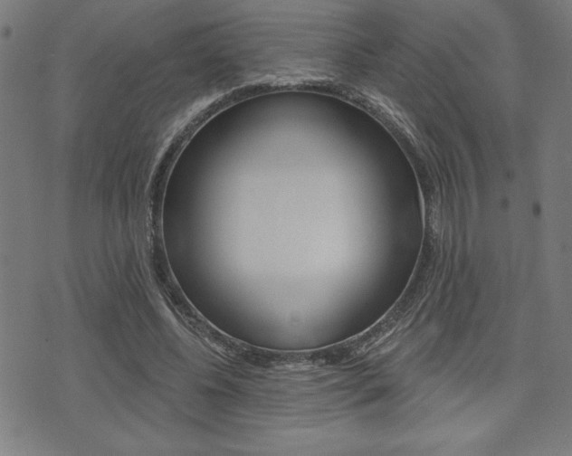 X0000072940540200607210910