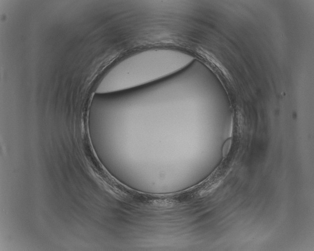 X0000072940541200607210910