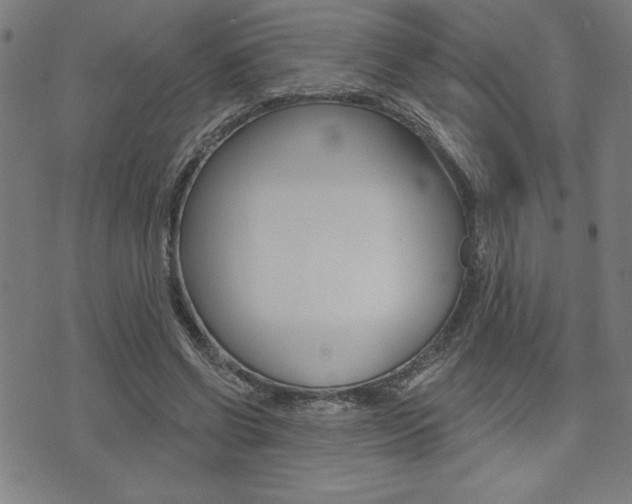 X0000072940542200607210910