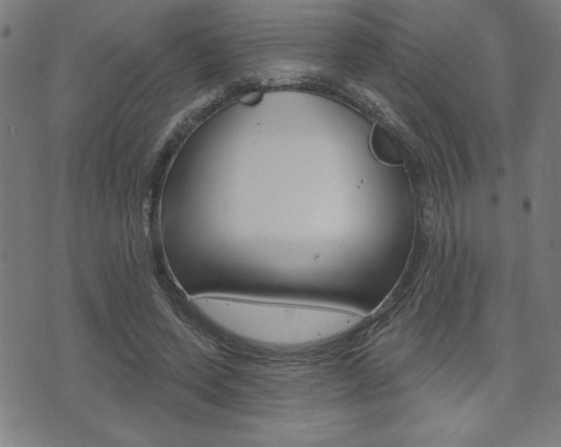 X0000072940543200607210910