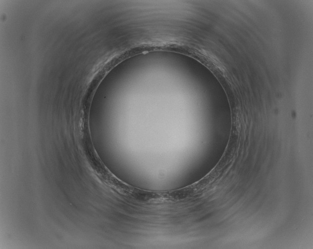 X0000072940544200607210910