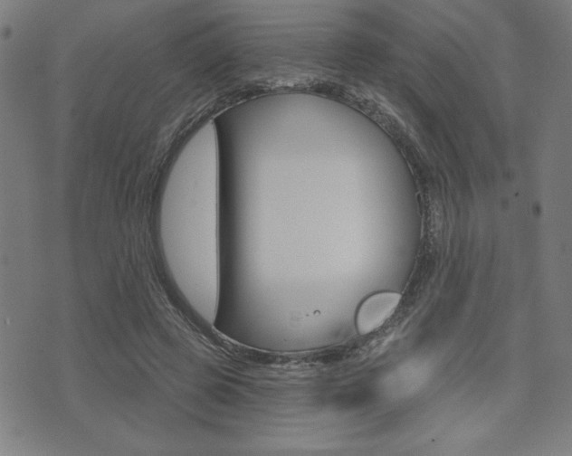 X0000072940545200607210910