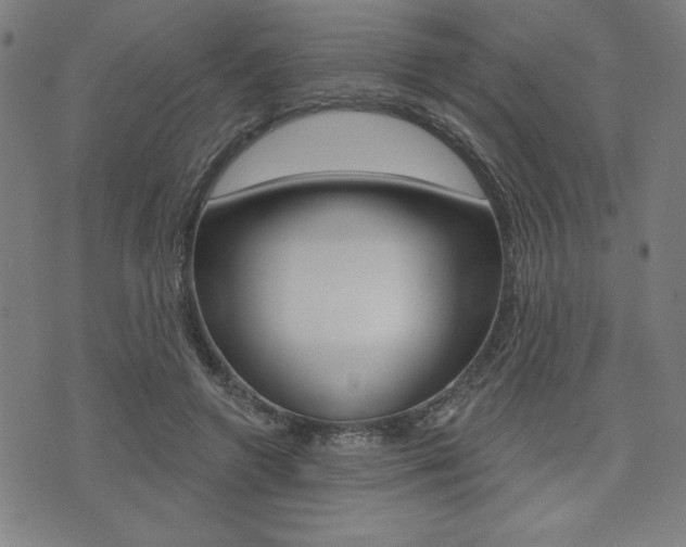 X0000072940546200607210910