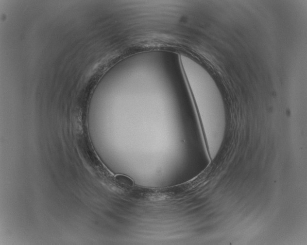 X0000072940547200607210910