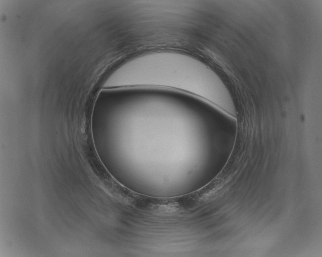 X0000072940548200607210910