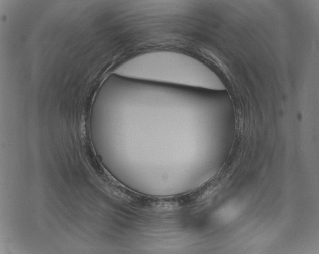 X0000072940549200607210910