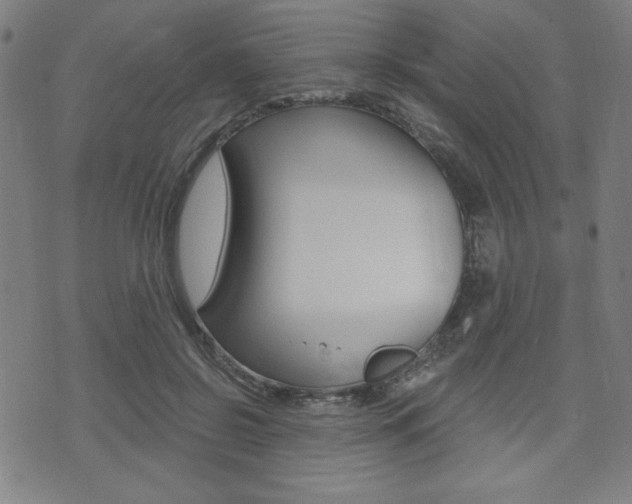 X0000072940550200607210910