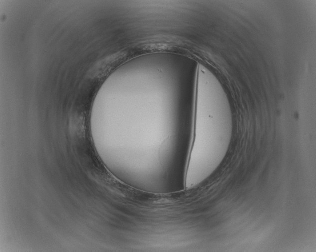 X0000072940551200607210910