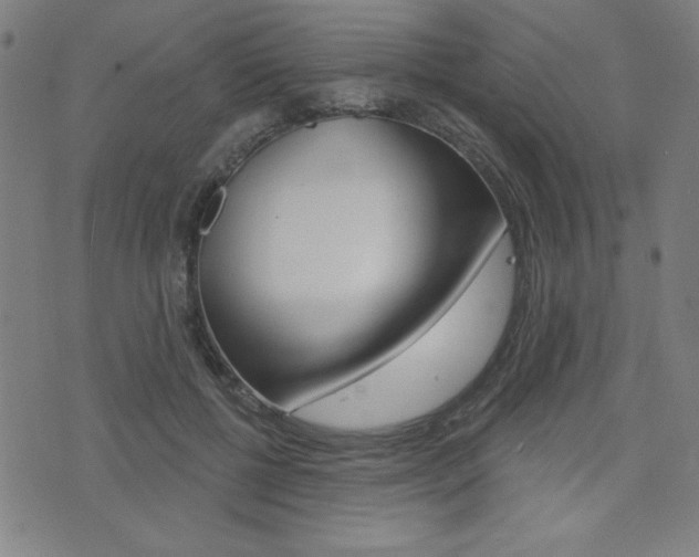 X0000072940552200607210910