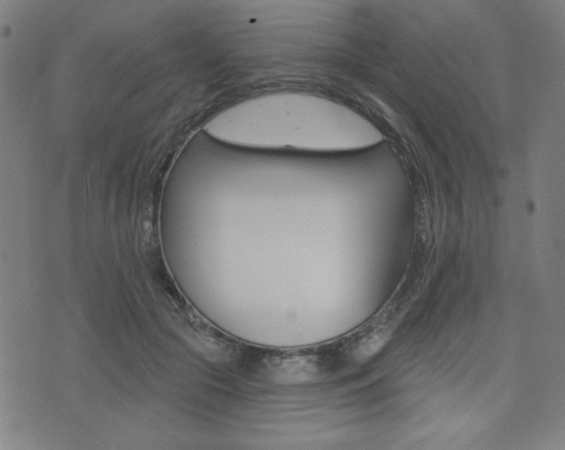 X0000072940553200607210910