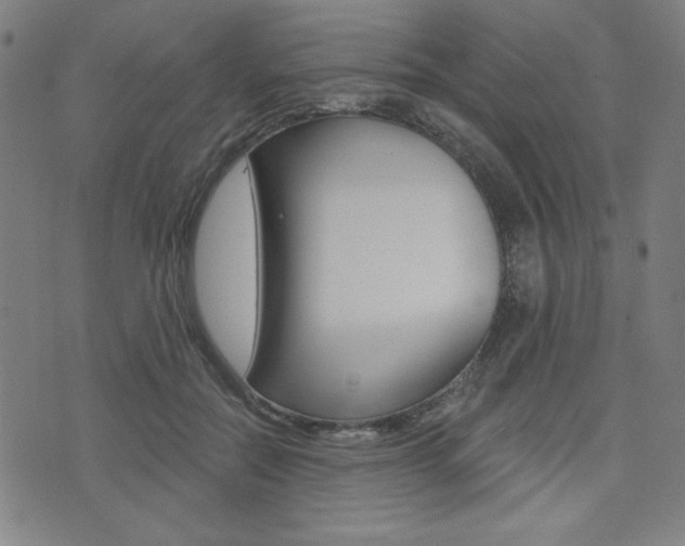 X0000072940554200607210910