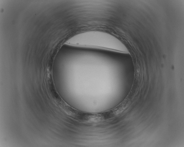 X0000072940555200607210910