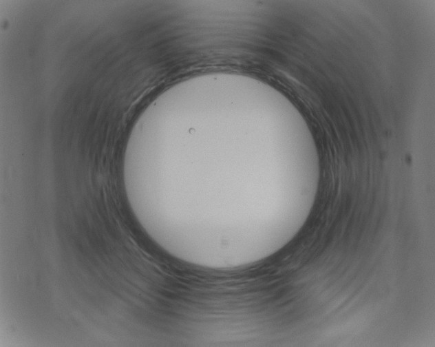 X0000072940556200607210910