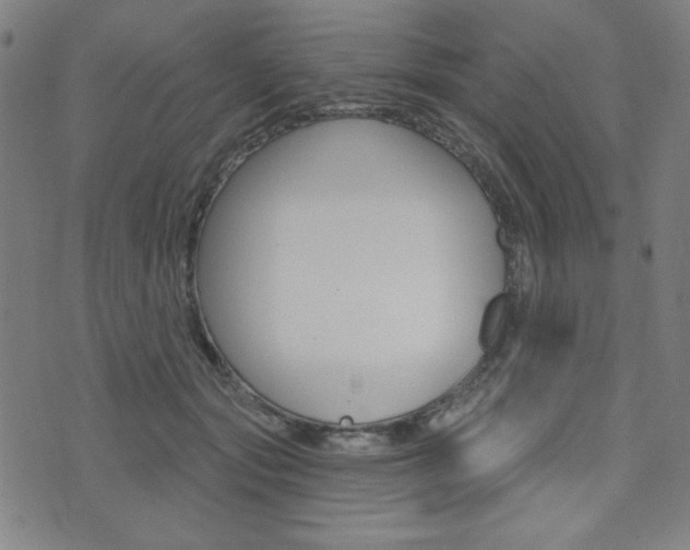 X0000072940557200607210910