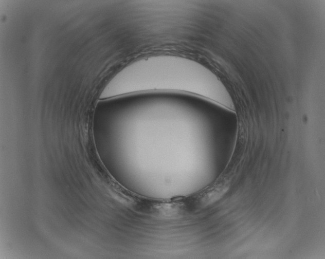 X0000072940558200607210910