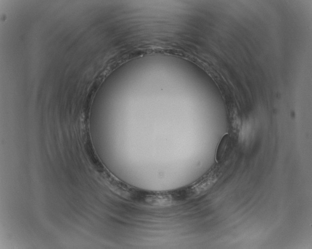 X0000072940559200607210910