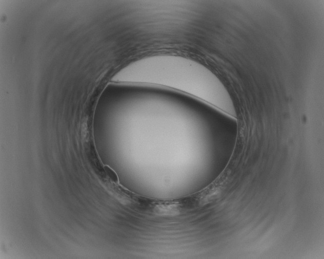 X0000072940560200607210910