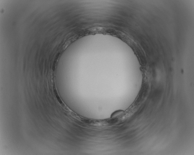 X0000072940561200607210910