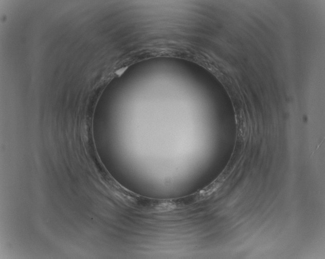 X0000072940562200607210910