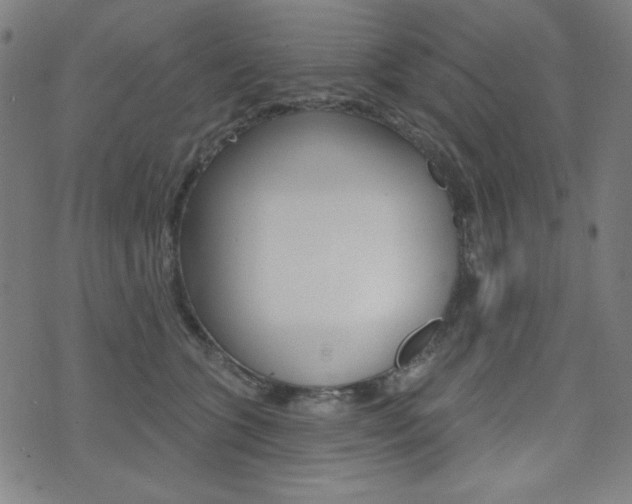 X0000072940563200607210910