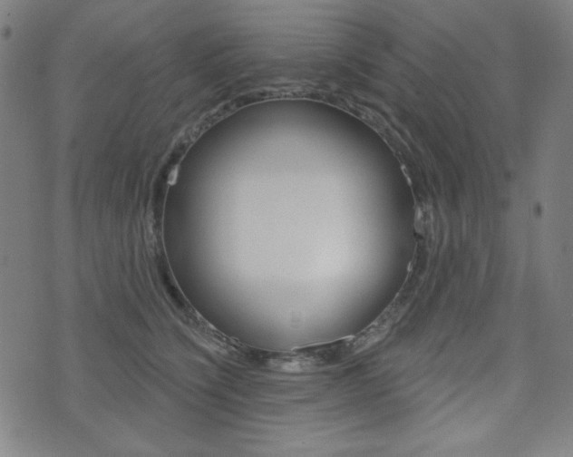 X0000072940564200607210910