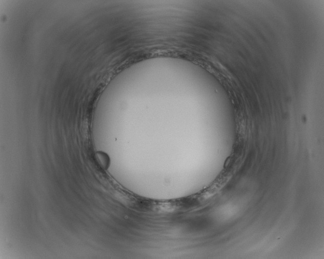 X0000072940565200607210910