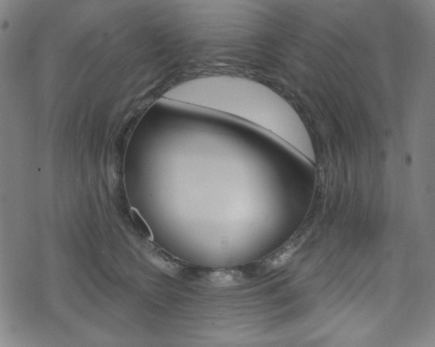 X0000072940566200607210910