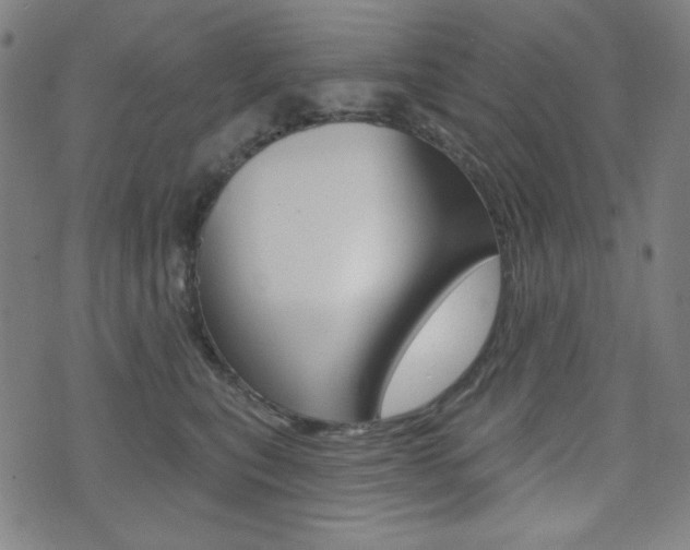 X0000072940567200607210910