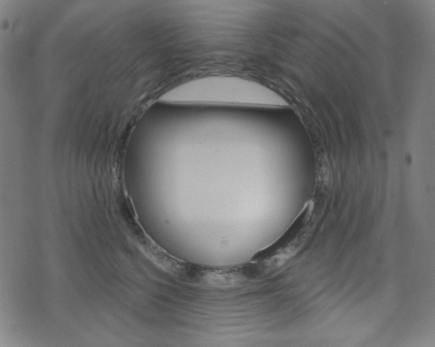 X0000072940568200607210910