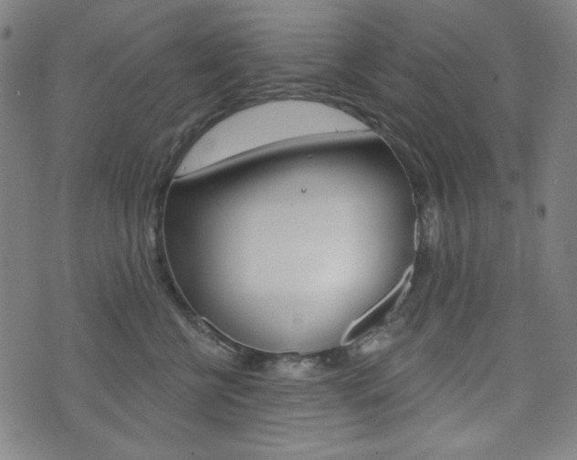 X0000072940570200607210910