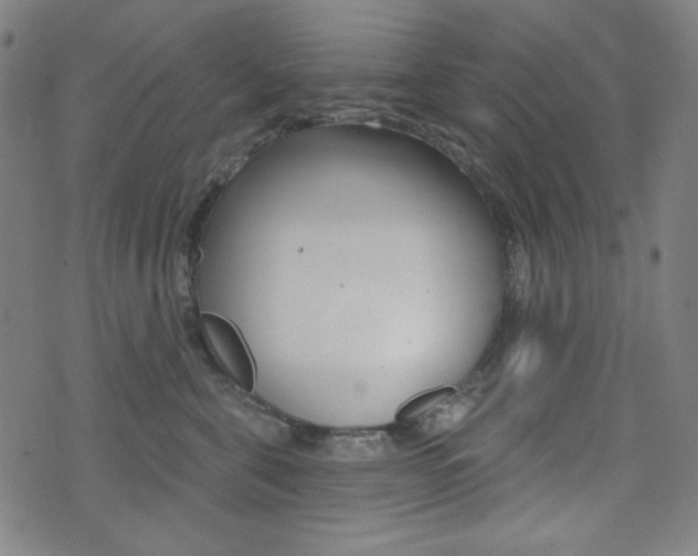 X0000072940571200607210910