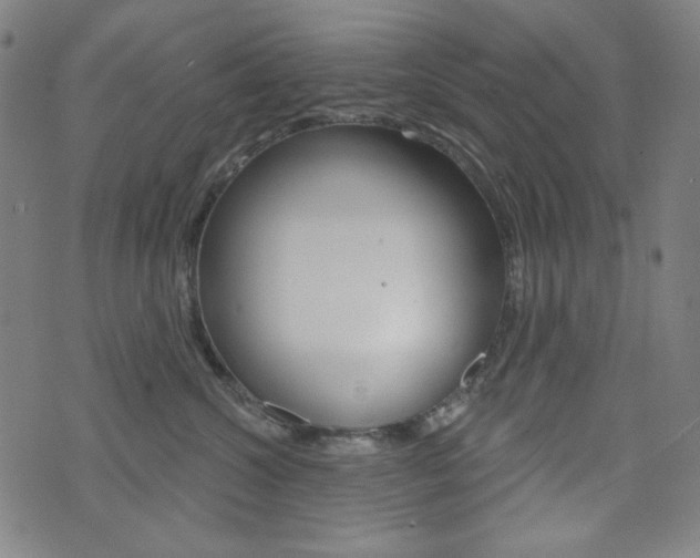 X0000072940572200607210910