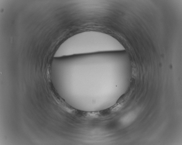 X0000072940573200607210910