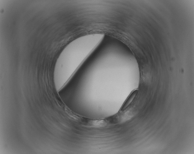 X0000072940575200607210910