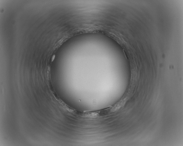 X0000072940576200607210910