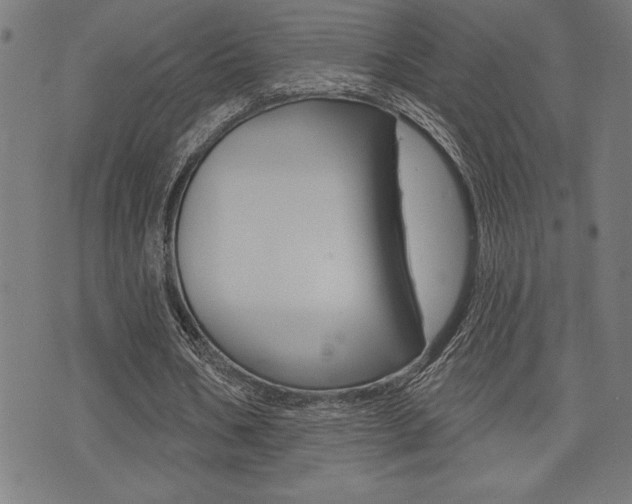 X0000072940578200607210909