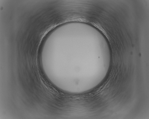 X0000072940579200607210909