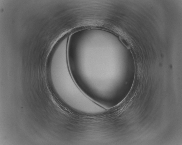 X0000072940580200607210909