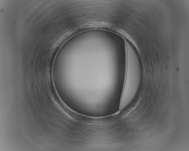 X0000072940581200607210909