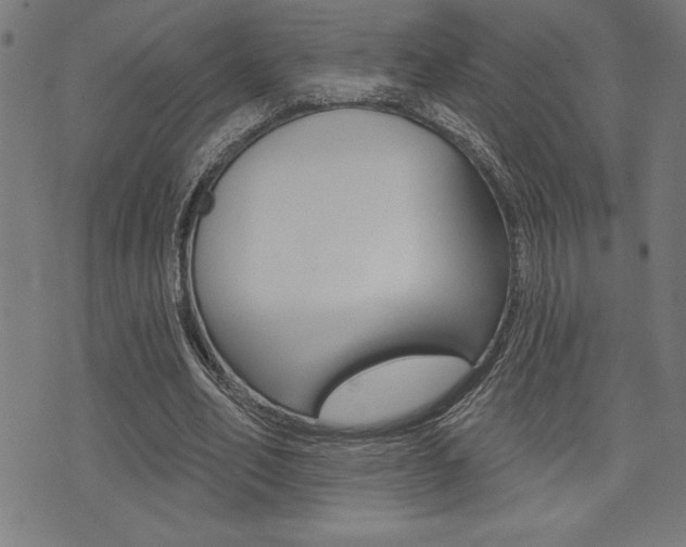 X0000072940582200607210909