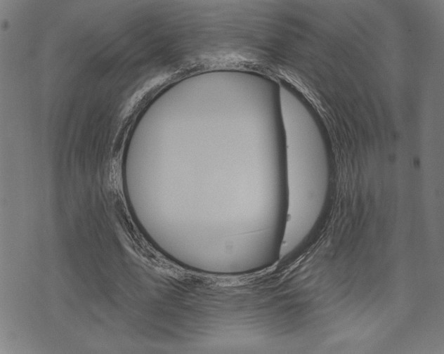 X0000072940583200607210909