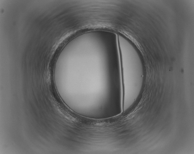 X0000072940584200607210909