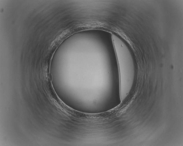 X0000072940585200607210909