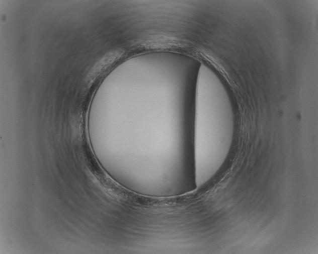 X0000072940586200607210909