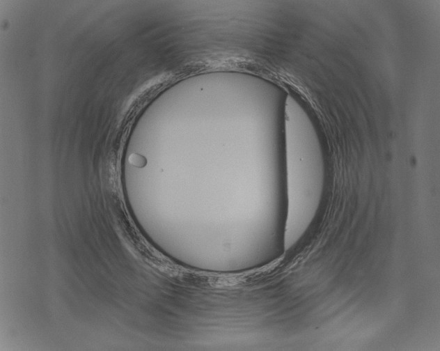 X0000072940587200607210909