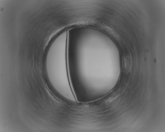 X0000072940588200607210909