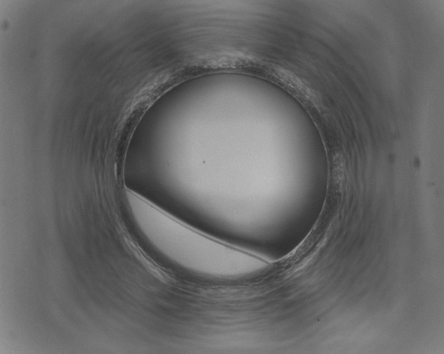 X0000072940589200607210909