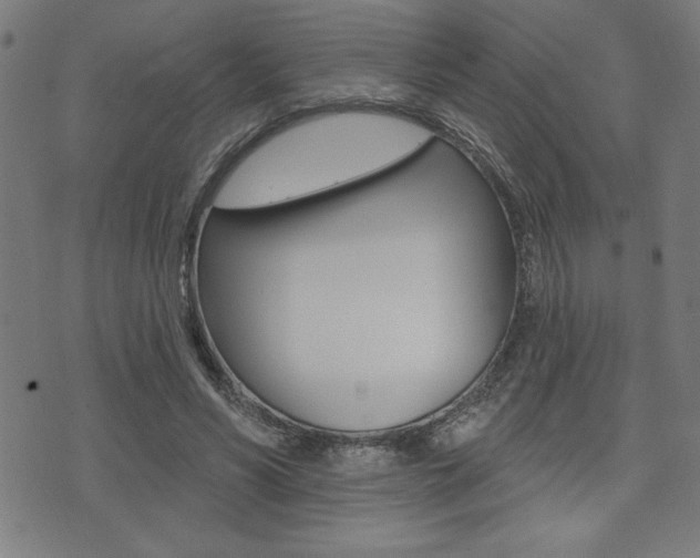 X0000072940590200607210909